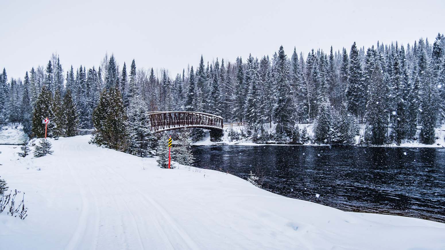 Nieve y bosque en un viaje monoparental a Canadá